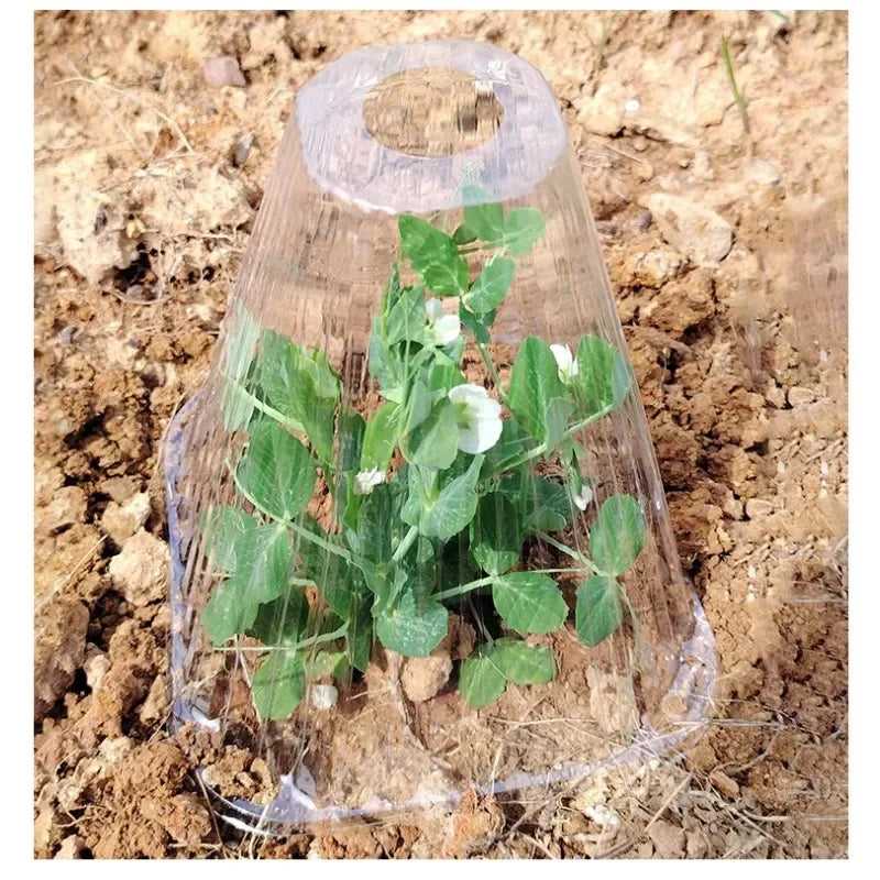 50pcs/set Reusable Plant Seedling Cover Windproof Frost Protection for Vegetable Seedlings Greenhouse Garden Plant Protector
