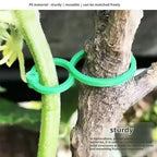 100 Pcs Plant Clips for Climbing Plants,Tomato Trellis Garden Vine Strapping Bundled Buckle Clips Plastic Trellis Plant Support