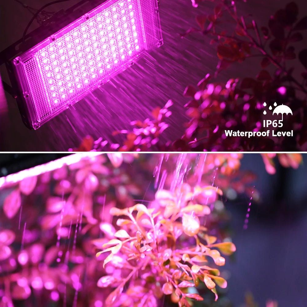 Led Grow Light 50W 100W 150W 220V Outdoor Full Spectrum LED Plant Growth Lamp Led Spotlight Projector Streetlight Led Floodlight