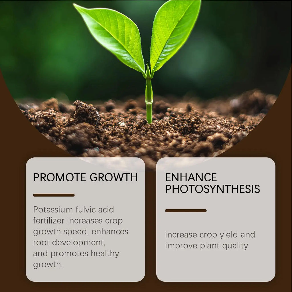 60G Organic Soil Activators And Plant Fertilizers Indoor Plant Fertilizers For Healthy Flowers And Soil Plants