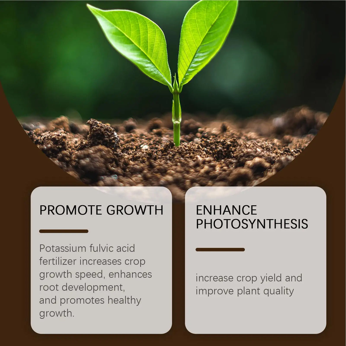 60G Organic Soil Activators And Plant Fertilizers Indoor Plant Fertilizers For Healthy Flowers And Soil Plants