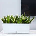 Self-Watering Planter Pots with Handy Water Level Indicator Gift for Friends Families Neighbors