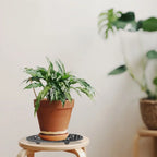 20/30/40cm Plant Pot Saucer Plant Level Pot Elevator Heavy Duty Plant Stands for Prevent Rot and Damage on Patio and Deck