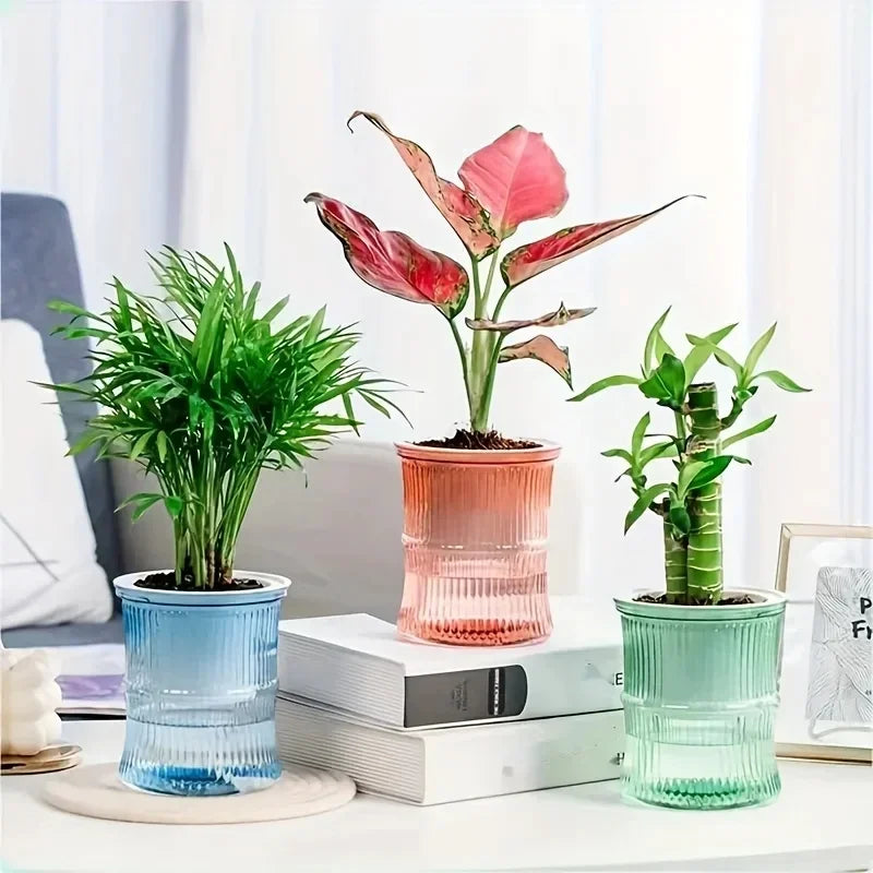 Transparent Double Layer Self Watering Planter Lazy Hydroponic Flower Pot Office Plastic Plant Container