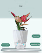 Clear Watering Pot Automatic Watering Planter Lazy Planter pot self Watering Container Lazy Flower Pot White Fully Transparent