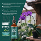 Root Drops for Propagation Rooting Liquid Fertilizer Supplement 100ml Root Booster for Plants Indoor Gardening Outdoor Gardening