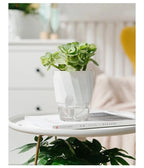 Clear Watering Pot Automatic Watering Planter Lazy Planter pot self Watering Container Lazy Flower Pot White Fully Transparent