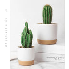 Round Cactus Succulent Plants Garden Supply Self Watering Flower Pot With Drainage Hole Flower Containers Indoor Orchid Pots