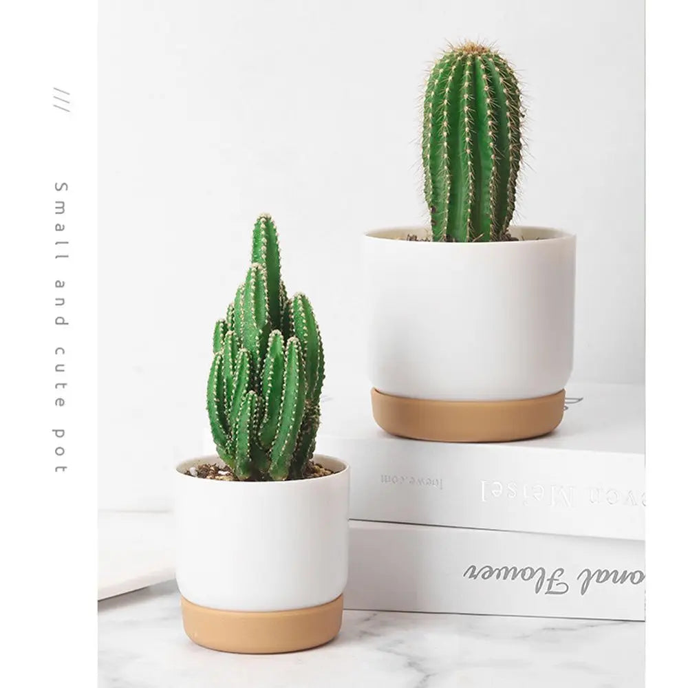 Round Cactus Succulent Plants Garden Supply Self Watering Flower Pot With Drainage Hole Flower Containers Indoor Orchid Pots