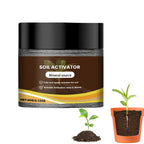 60G Organic Soil Activators And Plant Fertilizers Indoor Plant Fertilizers For Healthy Flowers And Soil Plants