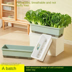 Self Watering Plant Pot Vegetables Container with Base Drainage Hole And Absorbent Rope Rectangular Flower Pots for Vegetable