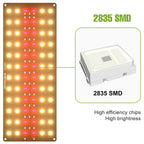 LED Grow Light Full Spectrum Quantum Board Lamp For Indoor Growth Box Flower Plants Cultivation Dimmable With Timing Auto On/Off