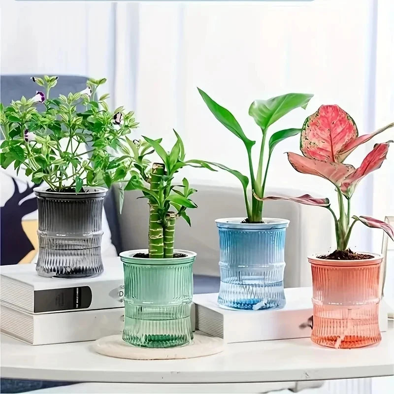 Transparent Double Layer Self Watering Planter Lazy Hydroponic Flower Pot Office Plastic Plant Container