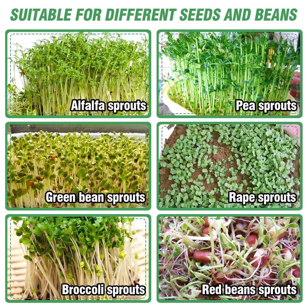 Stainless Steel Seed Sprouting Kit 3-Tier Microgreens Growing Tray 6.5/8.5 in Dia Stackable Round Sprouter Maker Sprouts Grower