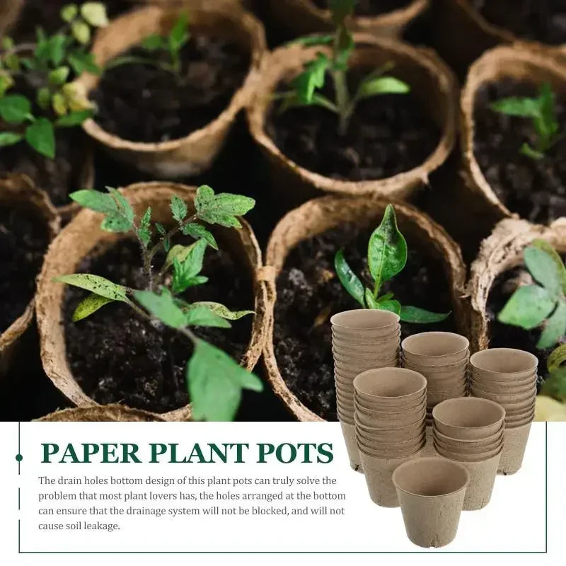 20-160PCS ﻿ 3.15 Inch Biodegradable Paper Pulp Seedling Starter Trays for Garden Planting Nursery Seed Germination Transplanting