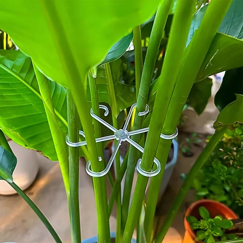 Plant Stem Support Stakes, 4-Piece Indoor Plant Supports