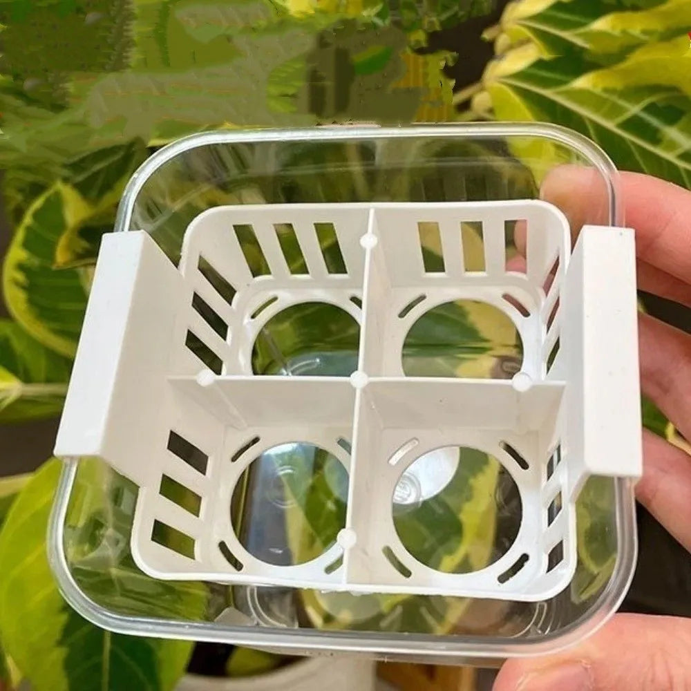 4 Grids Hydroponics Nursery Pots Planter Containers Clear Tulip Bulb Planter Plastic Square Planting Basket Indoor Gardening
