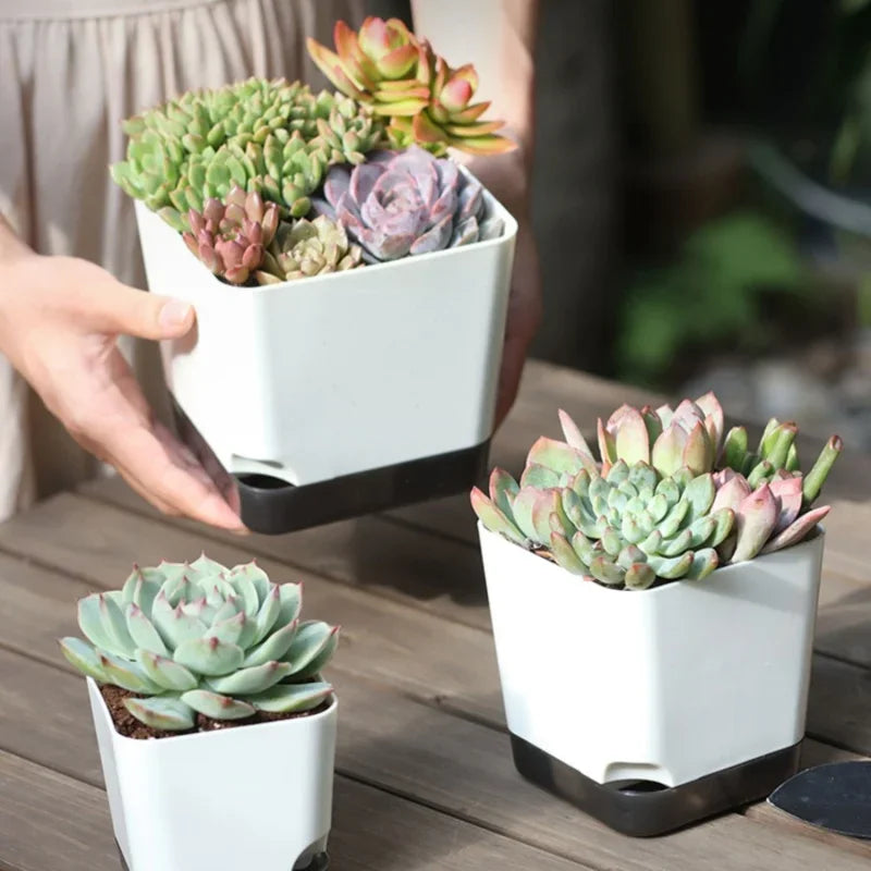 5Pcs Plant Pots, Self Watering Flower Pots Indoor Outdoor, Self Watering Planters with Drainage Hole & Clear Saucer Reservoir