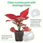 72pcs/set Clear Nursery Potsplant with Trays and Labels, Transparent Plastic Planter, Seed Starting Pot Flower Plant Contai
