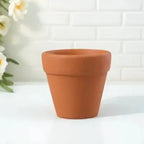 12Pcs Terracotta Plant Pots Ceramic Flower Pots for Small Plants Indoor Outdoor Mini Clay Natural Rustic Decor