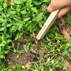 Manual Weeding Scraper with Wood Handle, Stainless Steel Tool for Removing Weeds from Lawn & Cracks