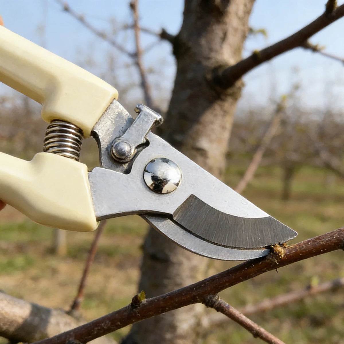 Pruning Shears Gardening Tools Professional Pruner Garden Manual Scissors Supplies Bonsai Tree Trimming Accessories Hand Tool