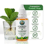 Liquid Plant Rooting Hormone Propagation Drops Root Growth Promoter Stimulator for Indoor Houseplants Water Soil Cuttings 40ml