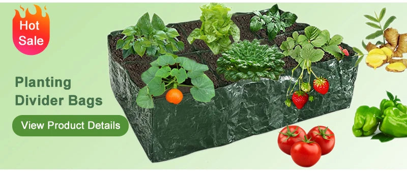 Garden Hoe Agricultural Supplies Weeds Tool Gardening Tools Utensils Hand Herbicide Weed Teacher Farming Farm Accessories