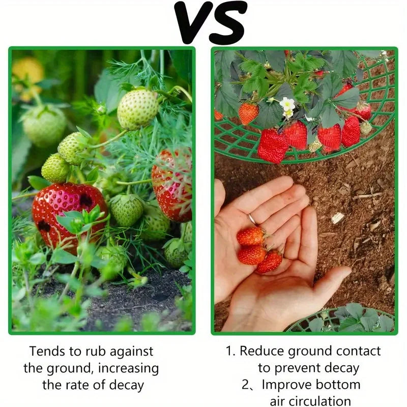 5/10pcs Strawberry Plant Supports with Three Sturdy Legs Provide Protection for Strawberries Against Mold, Rot, and Dirt