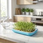Soilless Planting Seedling Tray,Seed Sprouter Germination Tray for Growing, Bean Sprouts, Cat Grass, Wheat Grass, Mung Beans
