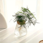 1pc, Glass Planter Propagation Station Vase Rack Tabletop Hydroponic Plants Cuttings Office Home Decoration
