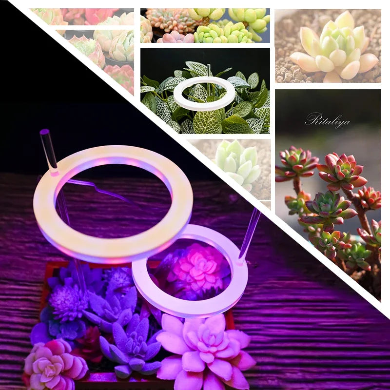 LED Ring Grow Lights Indoor Plants Full Spectrum Height Adjustable Plant Light for Indoor Plants 5V USB Growing Lamp