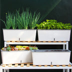 Self-Watering Planter Pots with Handy Water Level Indicator Gift for Friends Families Neighbors
