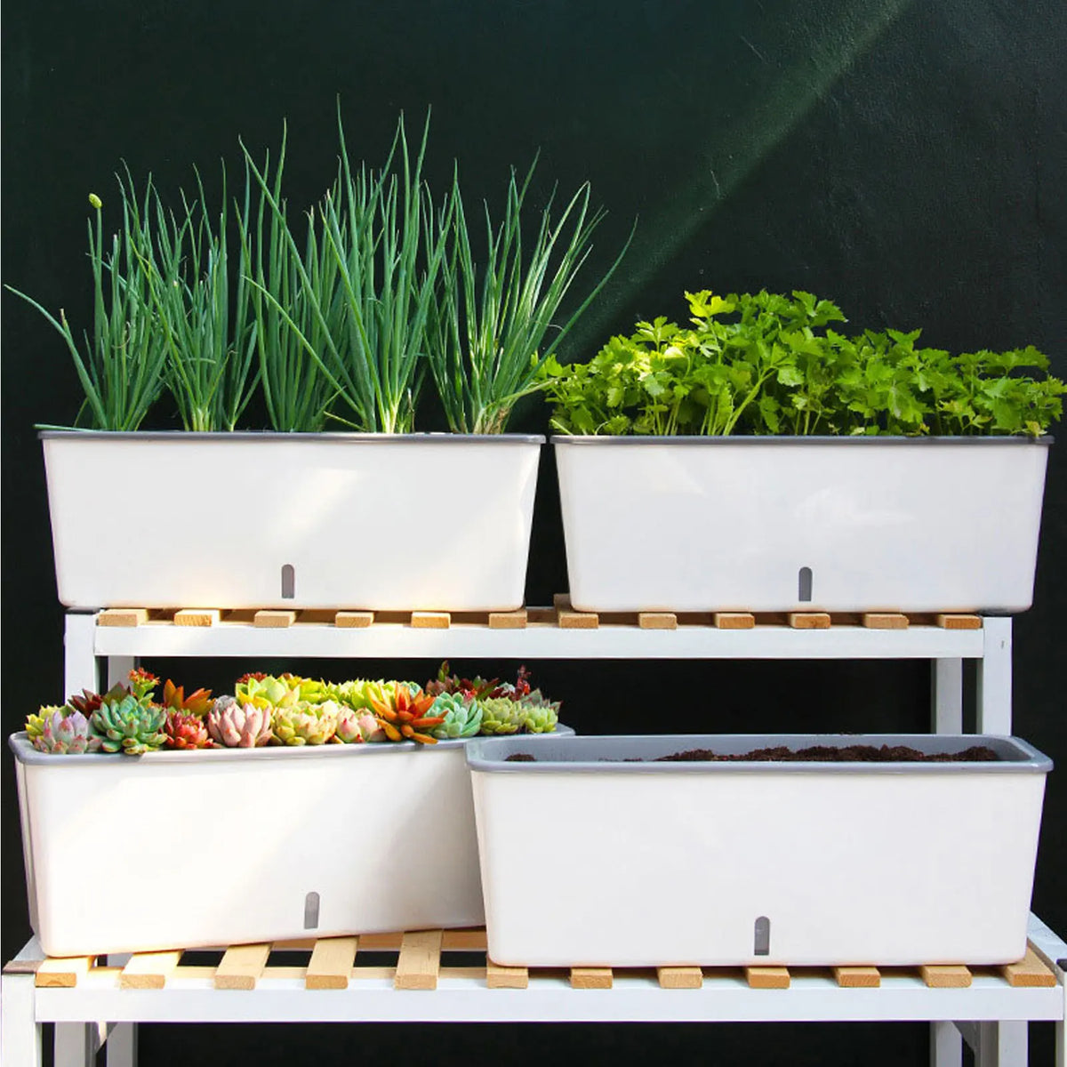 Self-Watering Planter Pots with Handy Water Level Indicator Gift for Friends Families Neighbors