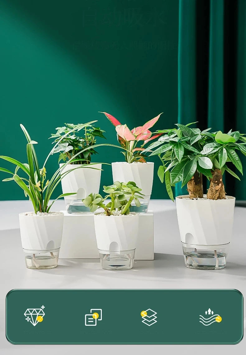 Clear Watering Pot Automatic Watering Planter Lazy Planter pot self Watering Container Lazy Flower Pot White Fully Transparent