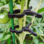 10/30/50Pcs Plant Stem Branch Gardening Clip Ties Support Plastic Clips for Climbing Plants Fixing Clamps Plant Support