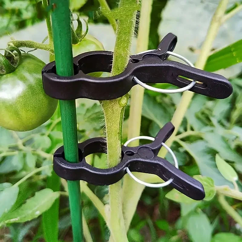 10/30/50Pcs Plant Stem Branch Gardening Clip Ties Support Plastic Clips for Climbing Plants Fixing Clamps Plant Support