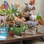Cactus Flower Planter Pot Cute Mini Resin Cactus Flowerpot With Drainage Holes Cactus Indoor Outdoor Decor