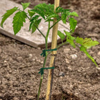 Garden Green Rope Cloth Strip Plant Support Tie Used For Cable Sorting Plant Climbing Strapping Ties Binding Plants in Home
