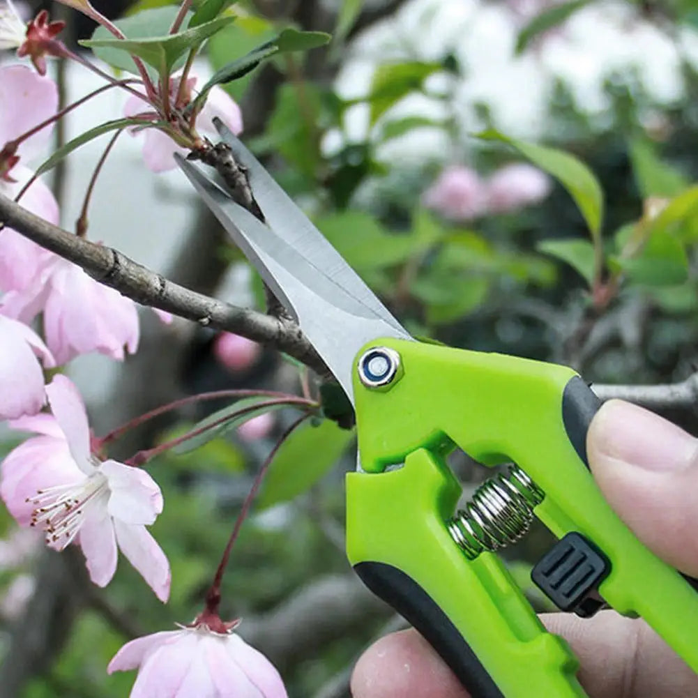 Fruit Picking Pruning Shears, Heavy-Duty Pruning Scissors, Garden Fruit Picking Shears, Specialized Grape Pruning Scissor