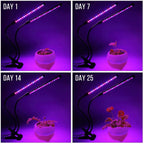 USB LED Plant Grow Light Indoor Garden 10 Dimmable Levels Grow Light Full Spectrum Timer Setting Hydroponic Greenhouse 3H/9H/12H