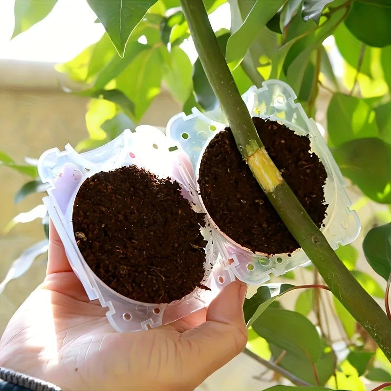 10pcs Plant Propagation Box Set High-Pressure Grafting, Cutting, and Rooting Kit for Tree Branches with Pressure Balls