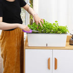 Self-Watering Planter Pots with Handy Water Level Indicator Gift for Friends Families Neighbors