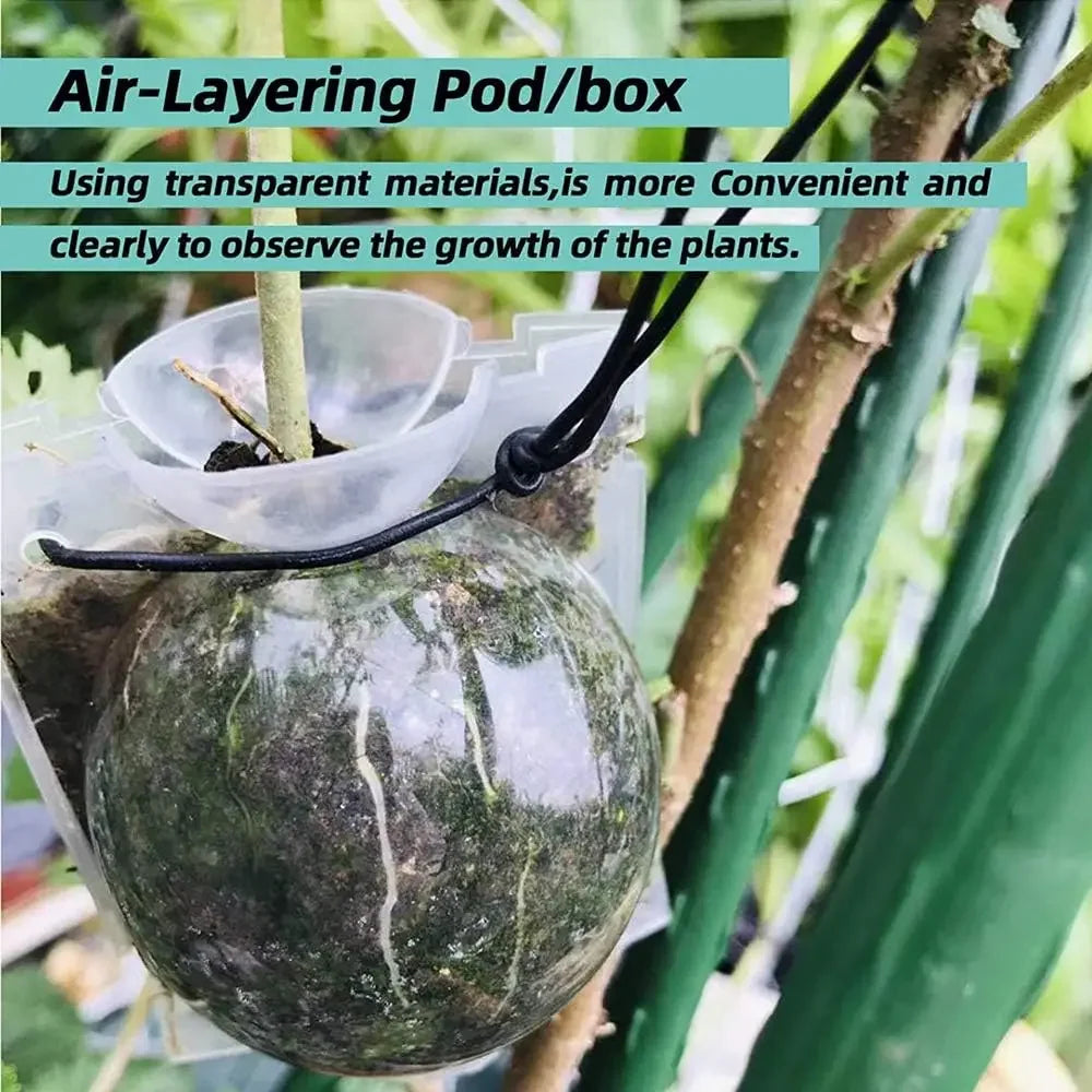 Plant Rooting Ball Air Layering Pods High Pressure Propagation Root Grow Box Graft Breeding Growing Case Planting Nursery Pot
