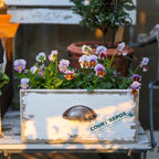 Japanese Retro Flower Vessels Wooden Double Compartment Planter Garden Succulent Container Patio Decorative Ornament for Indoor