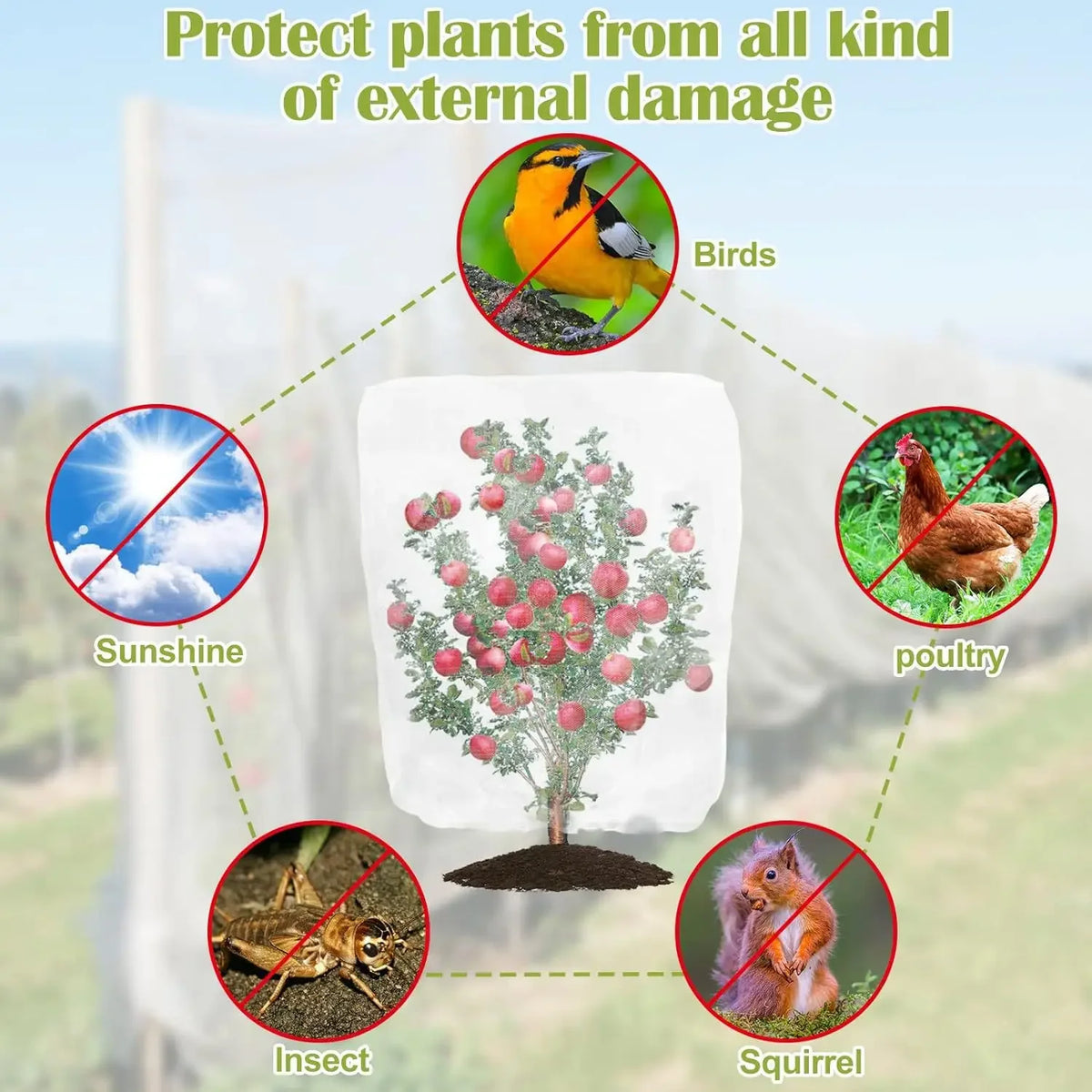 Garden Plant Insect Netting Vegetable, Flower and Fruit Care Cover Netting Pest Control Bird-proof 60 Mesh Protective Netting