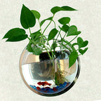 1Pc Free Punching Hydroponics Planter Home Decoration Pot Wall Hanging Mount Bubble Aquarium Bowl Fish Tank Aquarium Home Mini