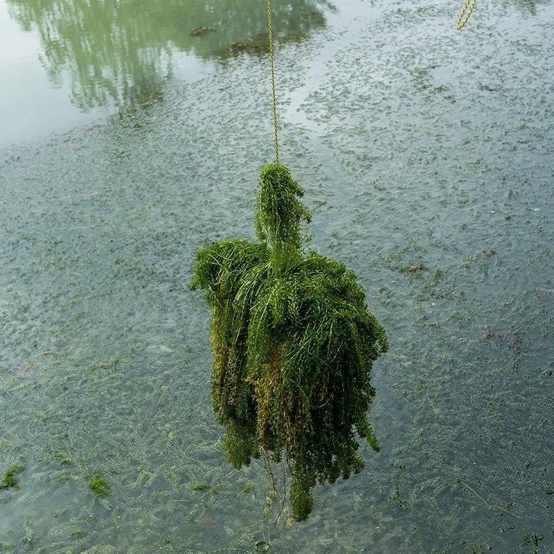 Outdoor Fishing Weeding Tools Large Fishing Rake for Weeding River Aquatic Plants Remover Alloy Weeding Puller Fishing Tackle