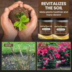60G Organic Soil Activators And Plant Fertilizers Indoor Plant Fertilizers For Healthy Flowers And Soil Plants