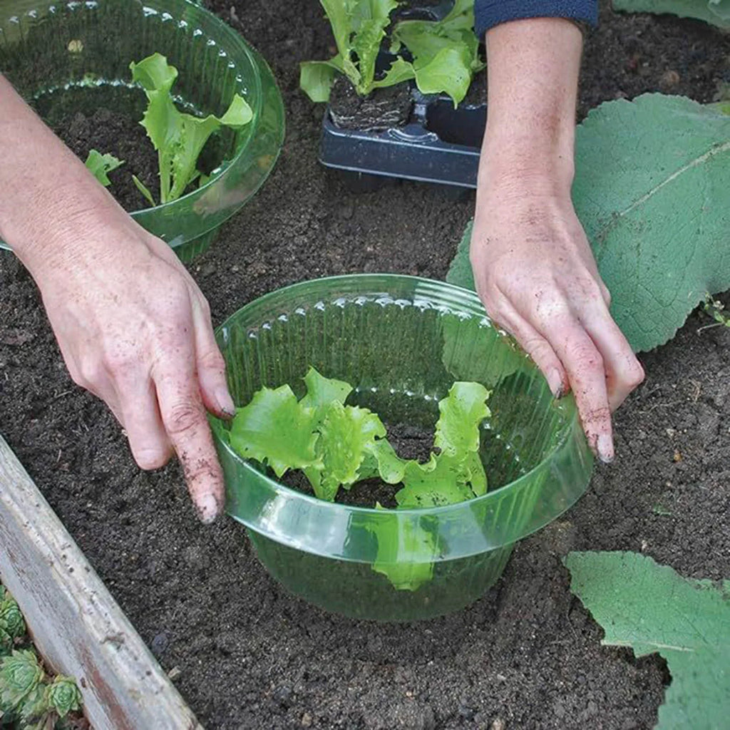 Plants Slug Protection Rings Vegetables Cover Plant Snail Collar Guard Green Planter Flower Pot Pest Control Trapper Garden Tool